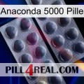 Anaconda 5000 Pill 31